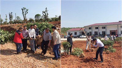 市交建投組織開展五一勞動(dòng)節(jié)植樹活動(dòng)