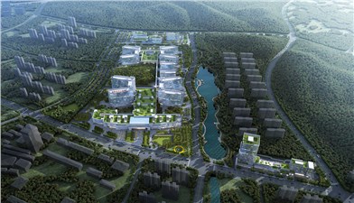 岳陽市中心醫(yī)院項目