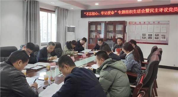 集團(tuán)公司各黨支部召開“不忘初心 牢記使命”主題教育專題組織生活會