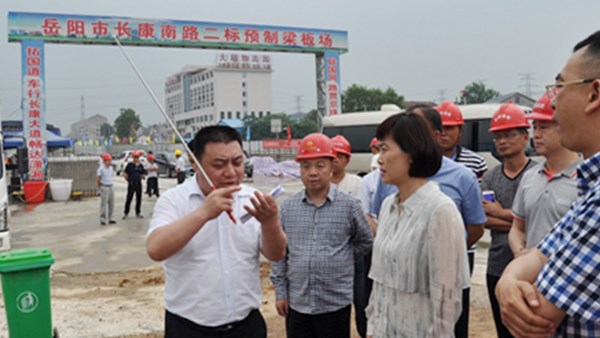 市委副書記、市長李愛武調(diào)研公司長康南路建設(shè)