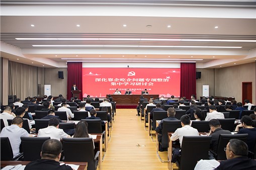 集團組織開展深化靠企吃企問題專項整治集中學(xué)習(xí)研討暨紀(jì)法知識測試